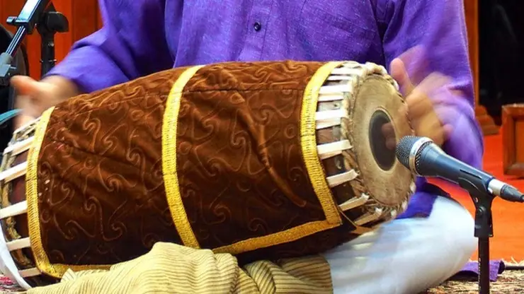 Carnatic Instruments